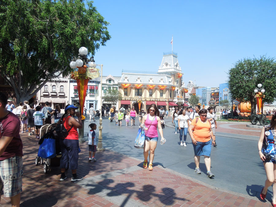 Disneyland Main Street Circle Picture