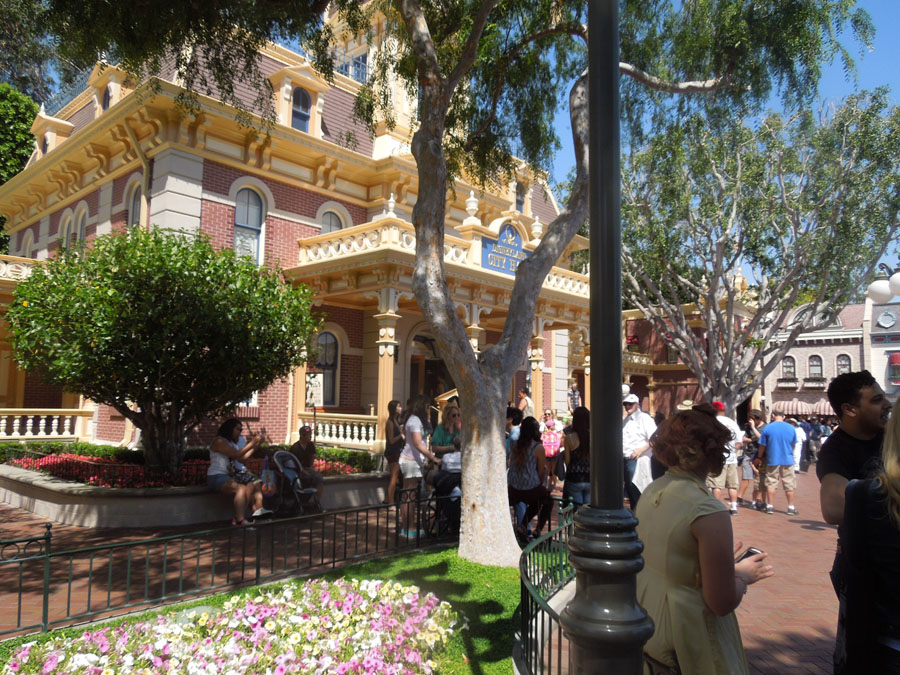 Disneyland Main Street Circle Picture