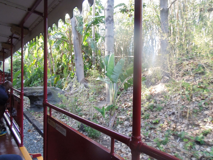 Disneyland Train Station Picture