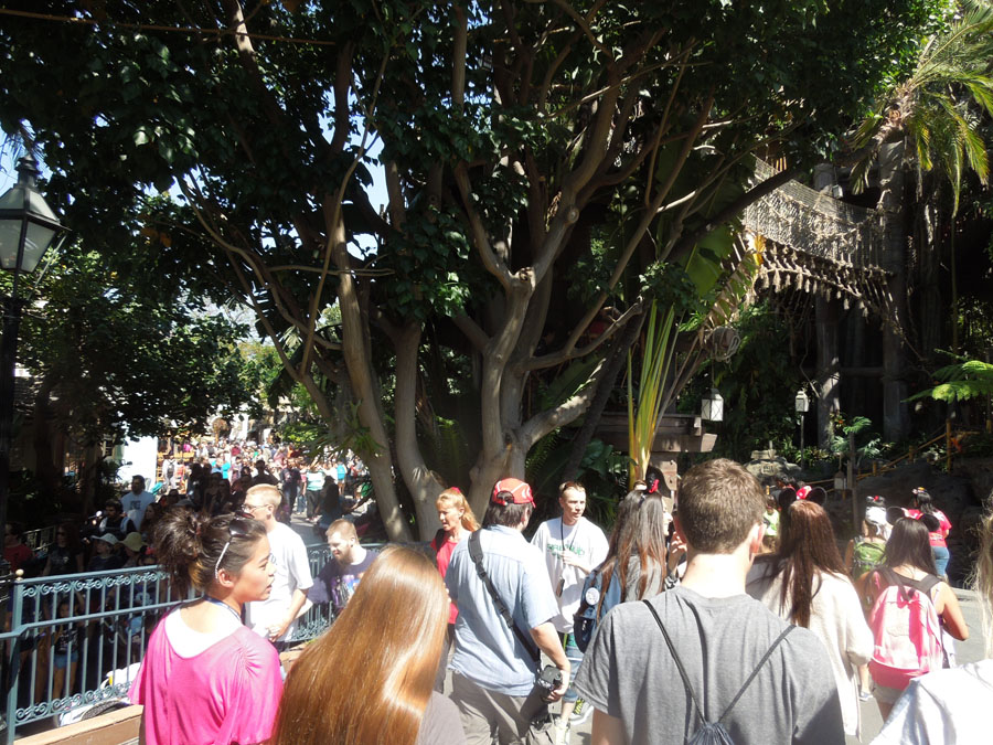 Streets of New Orleans Square in Disneyland