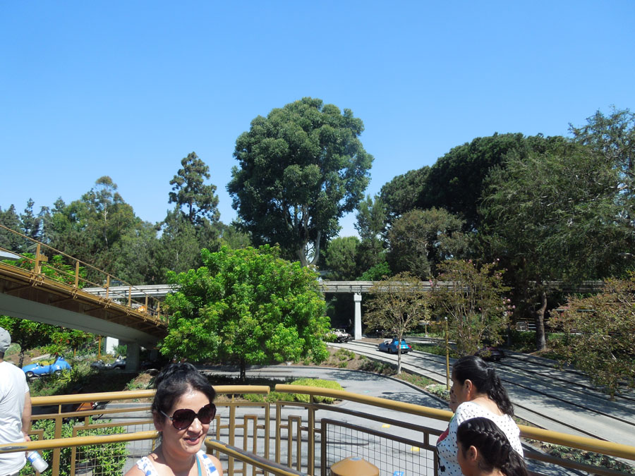 Disneyland Tomorrowland: Autopia