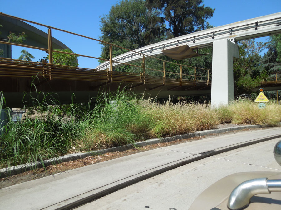 Disneyland Tomorrowland: Autopia Car