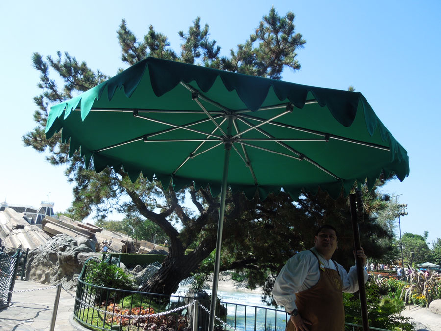 Disneyland Pixie Hollow Picture