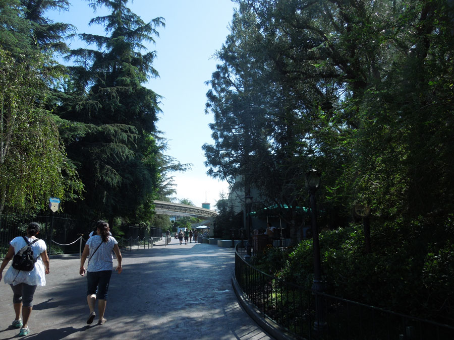 Disneyland Pixie Hollow Picture