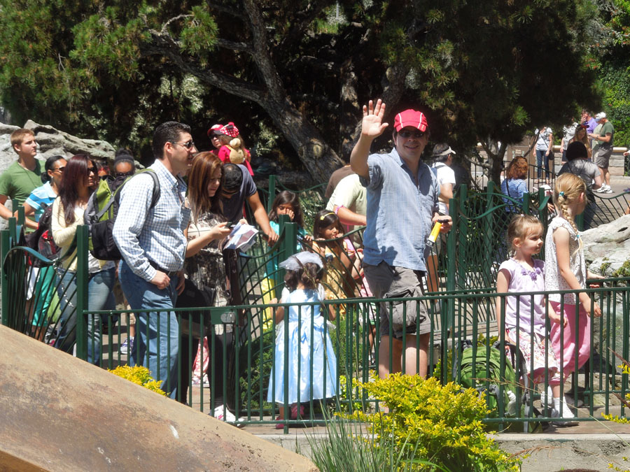 Disneyland Pixie Hollow Picture