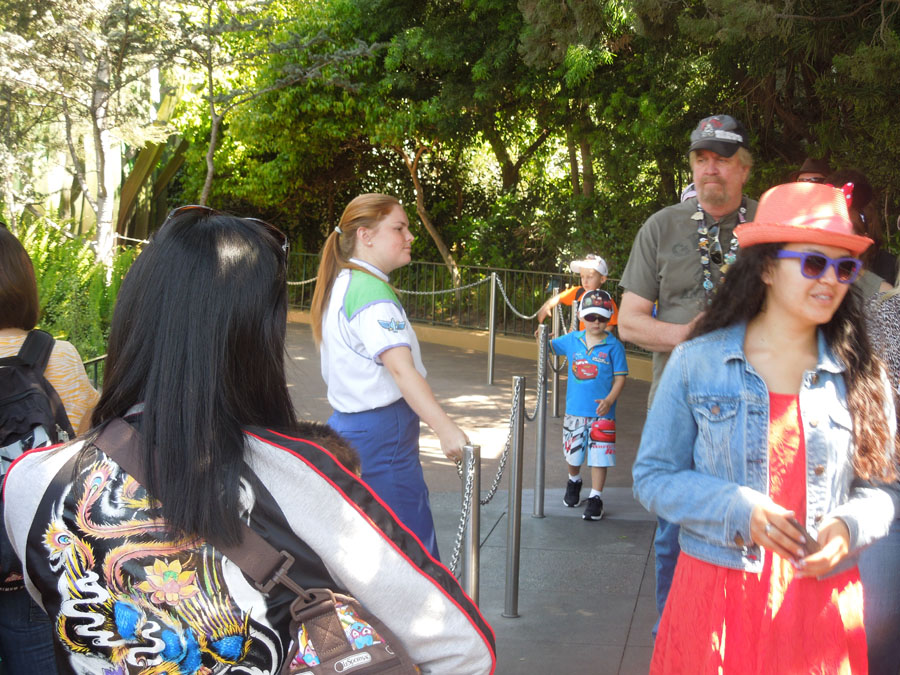 Disneyland Pixie Hollow Picture