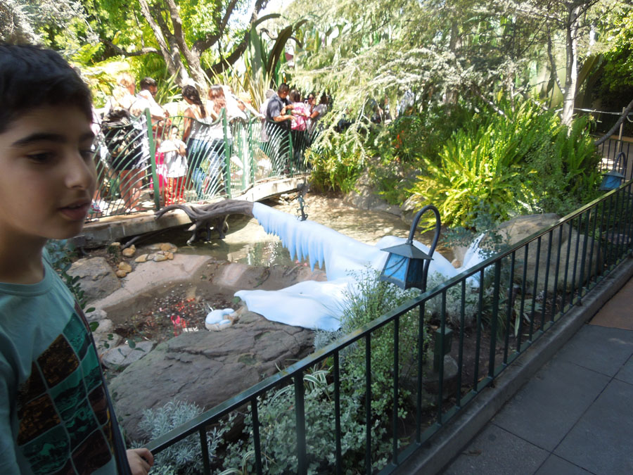 Disneyland Pixie Hollow Picture