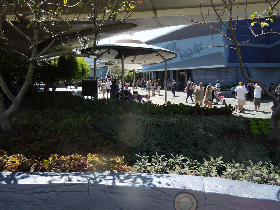 Disneyland Star Trader